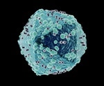 Novel Gene-Editing Strategy Harnesses Unusual Protective Ability to Eliminate HIV-1 Infection