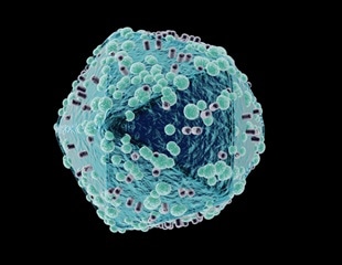 Metabolic restoration could provide natural protection against HIV
