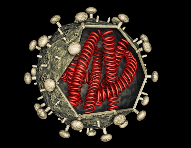 New Discovery Reveals How HIV Infects Resting Immune Cells