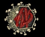 Computational Modeling Streamlines Antiviral Discovery