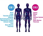 Does Cannabis Interact with the Gut Microbiome?