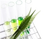 Antimicrobial Properties of Cannabis