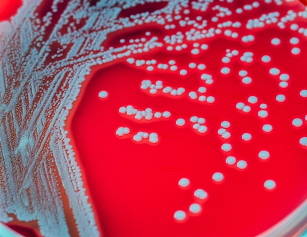 Serotonin-Producing Gut Microbes May Hold the Key to Treating IBS