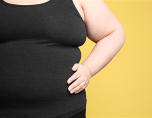 Obesity-Related Cognitive Deficits Improved Through Astrocyte Modulation