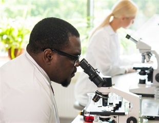 RNA Editing and Transcriptional Switching Shape Fungal Antiviral Response