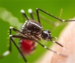 Exploring Drug Repurposing For Arboviral Infections Through Cavitomix