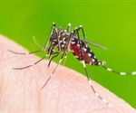 Scientists characterize the genetic diversity of populations in the South Pacific