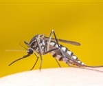 Researchers identify new therapeutic targets for flaviviruses