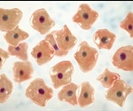 Artificial Tissue Implants: Understanding Cell Adhesion to Polymeric Substances