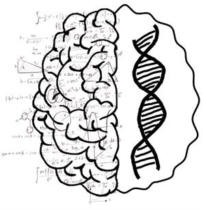 Study shows how genetic variability may shape mathematical performance in children