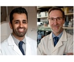 Researchers identify drug that could overcome tumor resistance