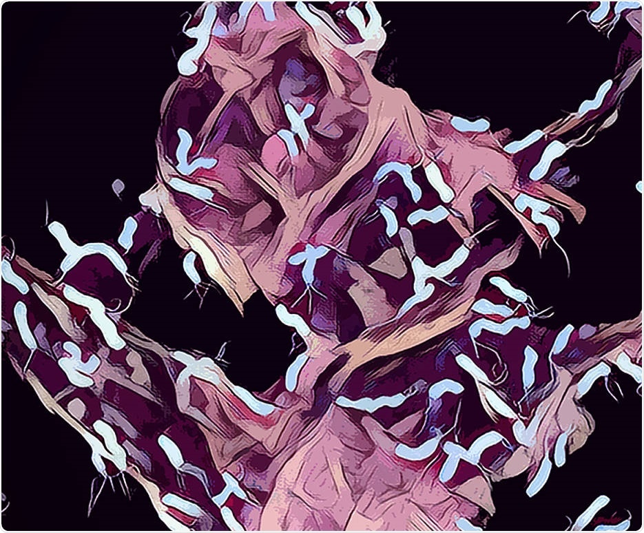 Small RNA molecule regulates the virulence factors of stomach bacteria