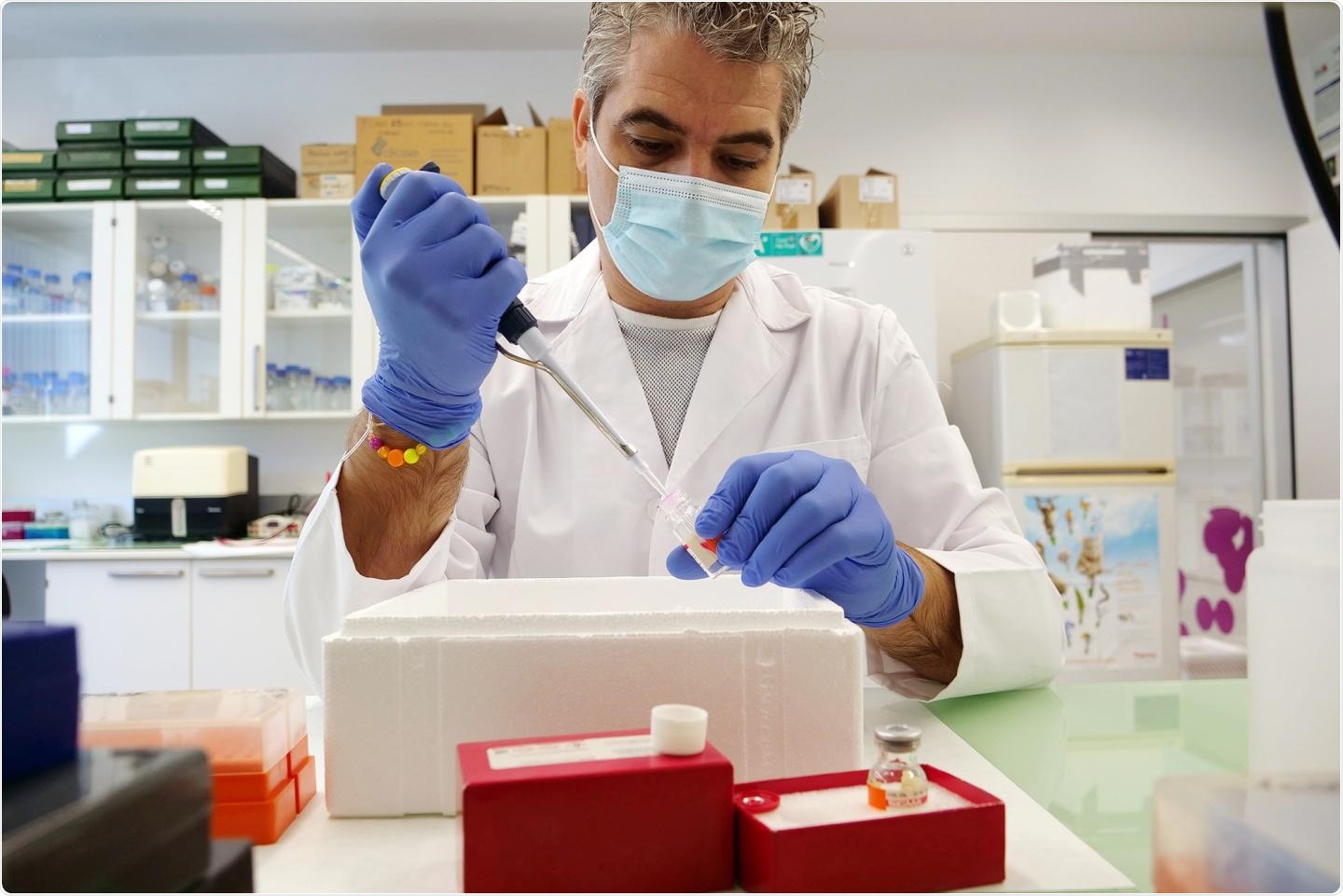 Scientists identify heart cells responsible for repairing damaged heart after infarction