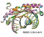 Scientists explain the role of transcription factors in genetic diseases