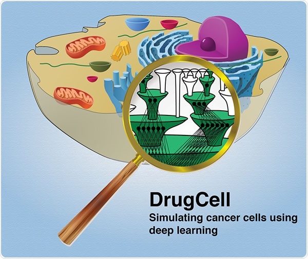 Experimental AI platform predicts best approach to cancer treatment