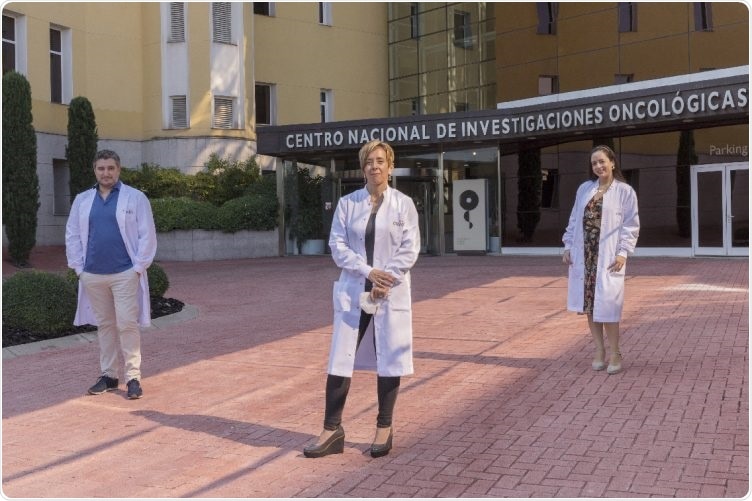 Researchers identify how melanoma redirects the immune system in cancer immunotherapy