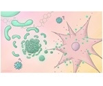 Scientists identify new ingredient that makes vaccine more effective