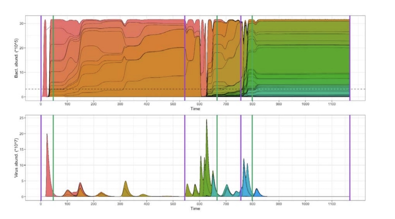 Study explores the impact of microbial immune diversity on dynamics of host-virus interactions