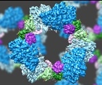 New algorithm sharpens focus of world's most powerful microscopes