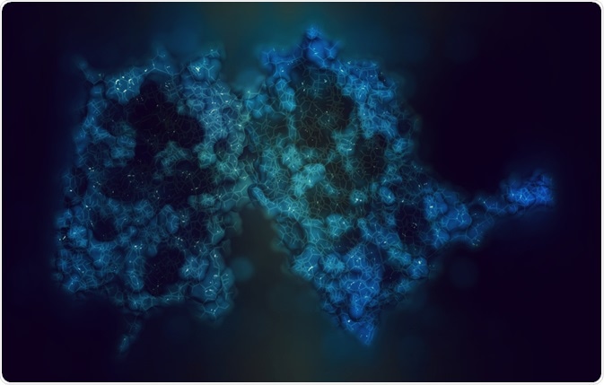 Interferon beta protein Interferon beta protein