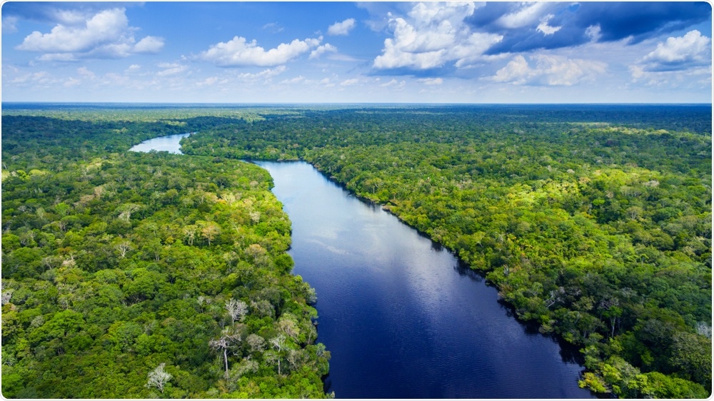 Amazon Rainforest Amazon Rainforest