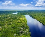 40 Percent Of Amazon Could Now Exist As Rainforest Or Savanna-Like Ecosystems