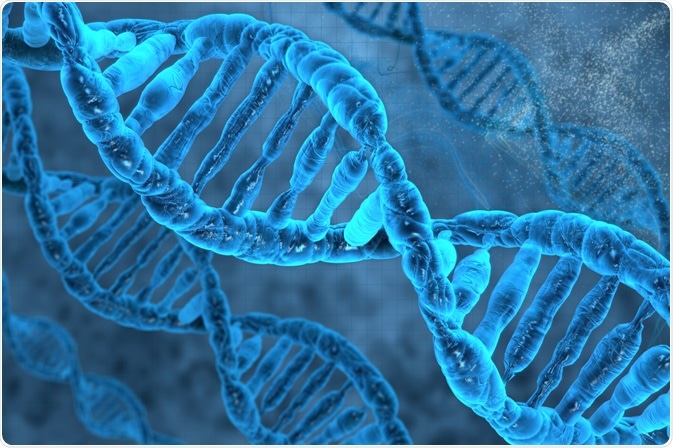 DNA DNA