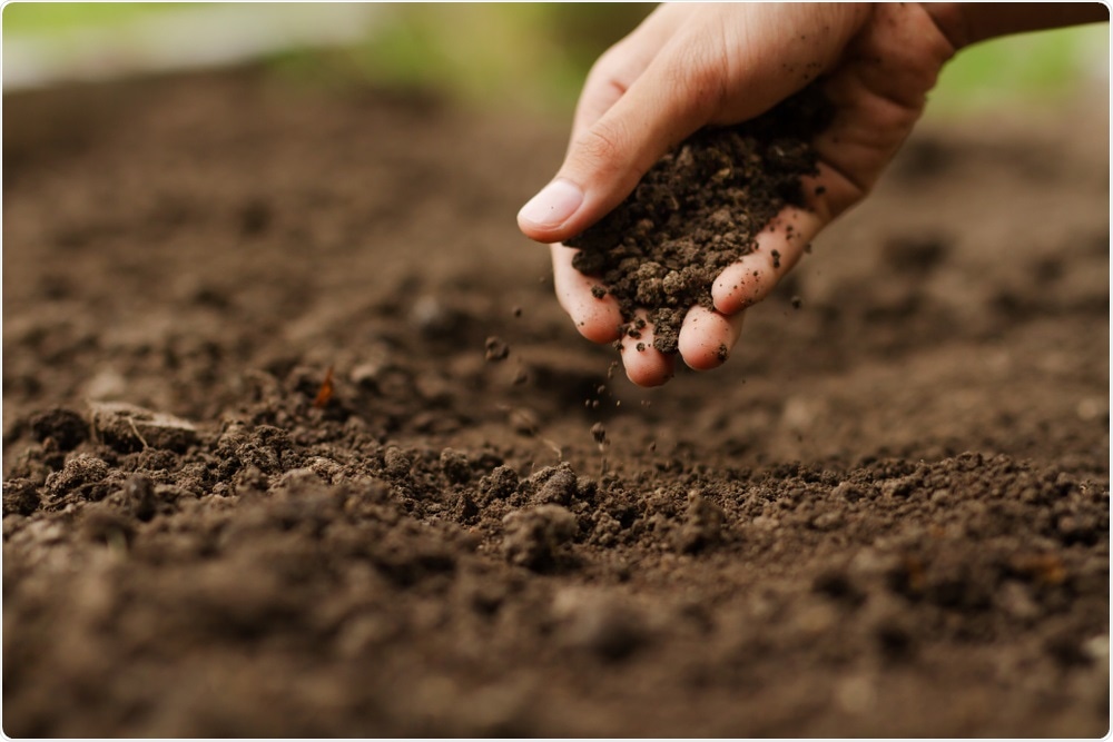 Soil Soil