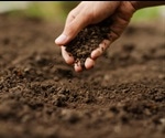 Grant awarded to study how plants affect microbiomes