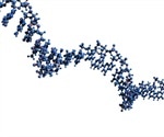 Role of ncRNA in Drug Discovery