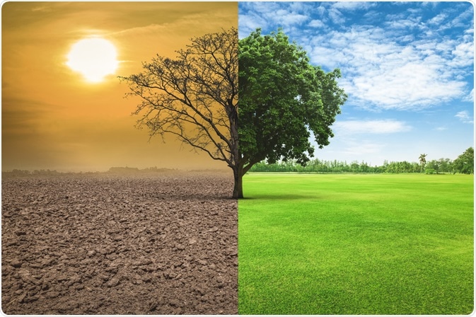 Climate Change