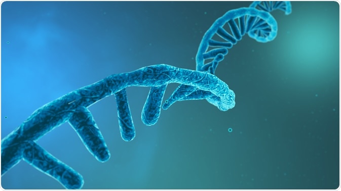 RNA
