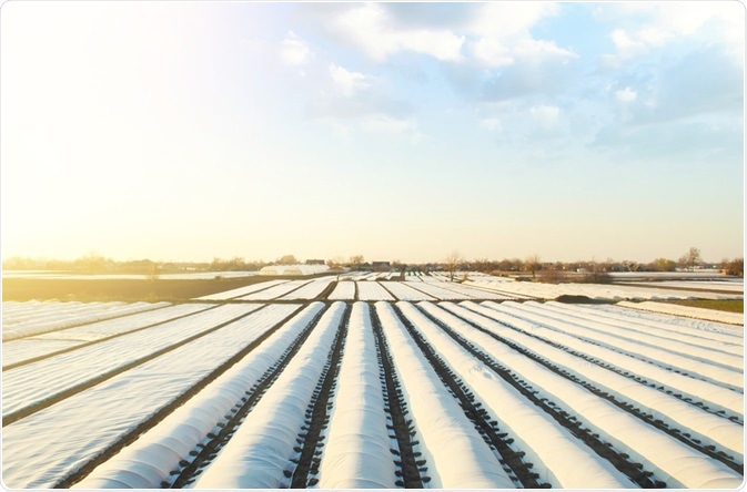 Protecting Crops Protecting Crops