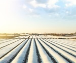 A Guide to Growing Crops in Cold Climates
