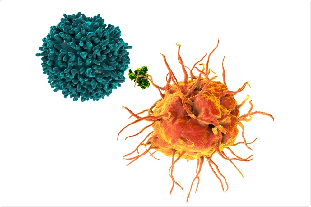 T Cells with antigen T Cells with antigen