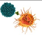 Dynamic map shows how immune cells fight microbes and remember future infections