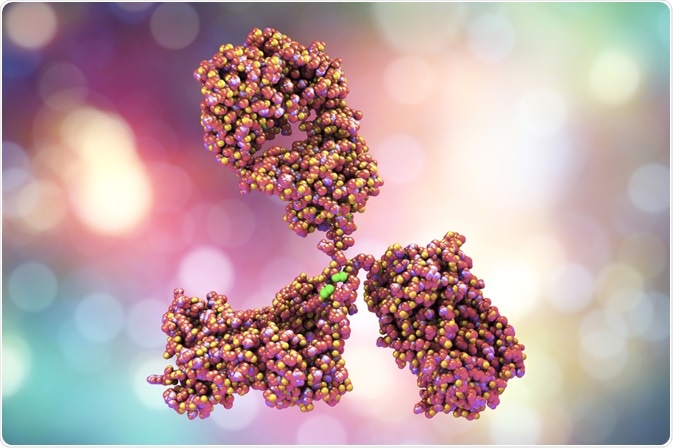 Monoclonal Antibody Monoclonal Antibody