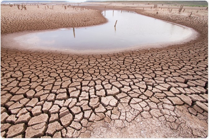 Drought Drought