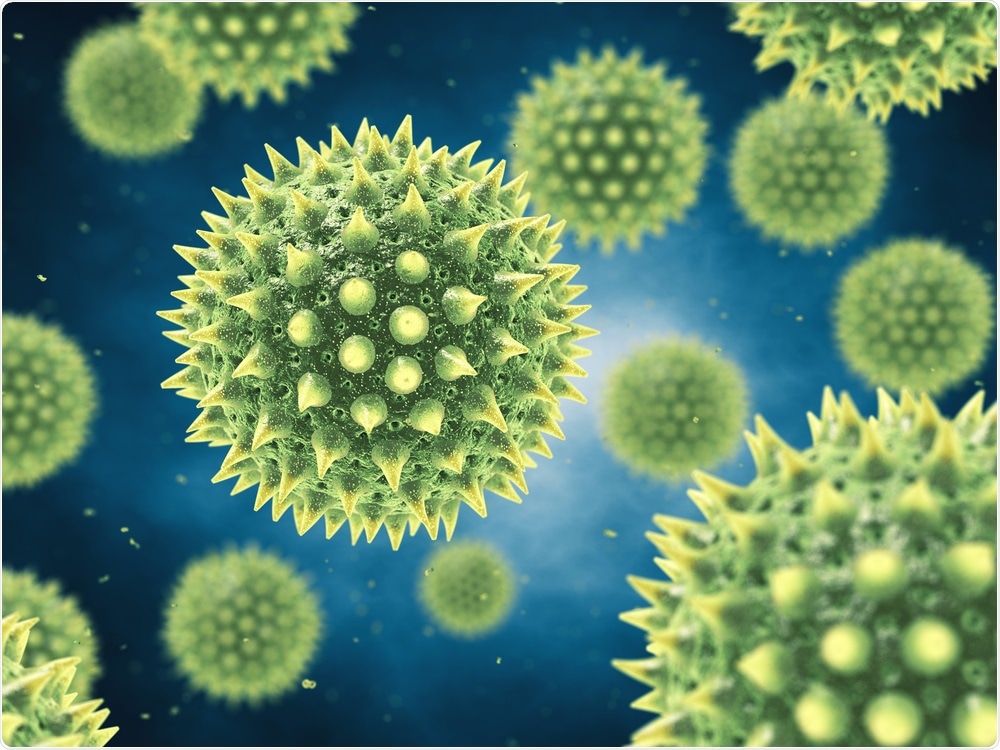 Pollen Pollen