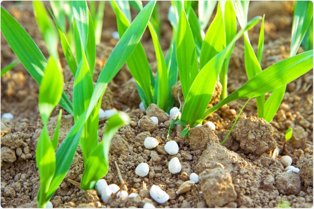 Fertilizer on soil Fertilizer on soil