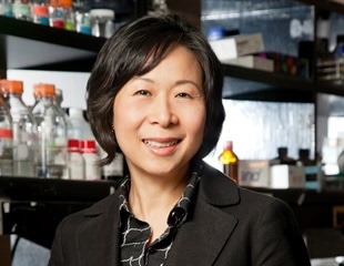 Research shows lipogenesis process is dysregulated in obesity, fatty liver disease