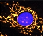 New gene therapy can protect visual function in patients with dominant optic atrophy