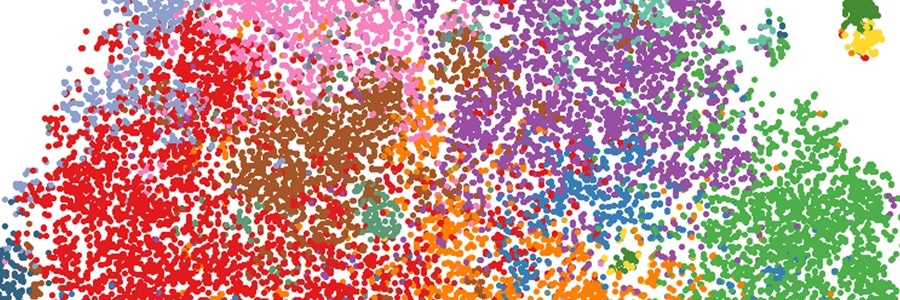 Interleukin 10 levels could warn about the progression of COVID-19