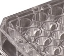 High Integrity Microplate Sealing for LC/MS Applications