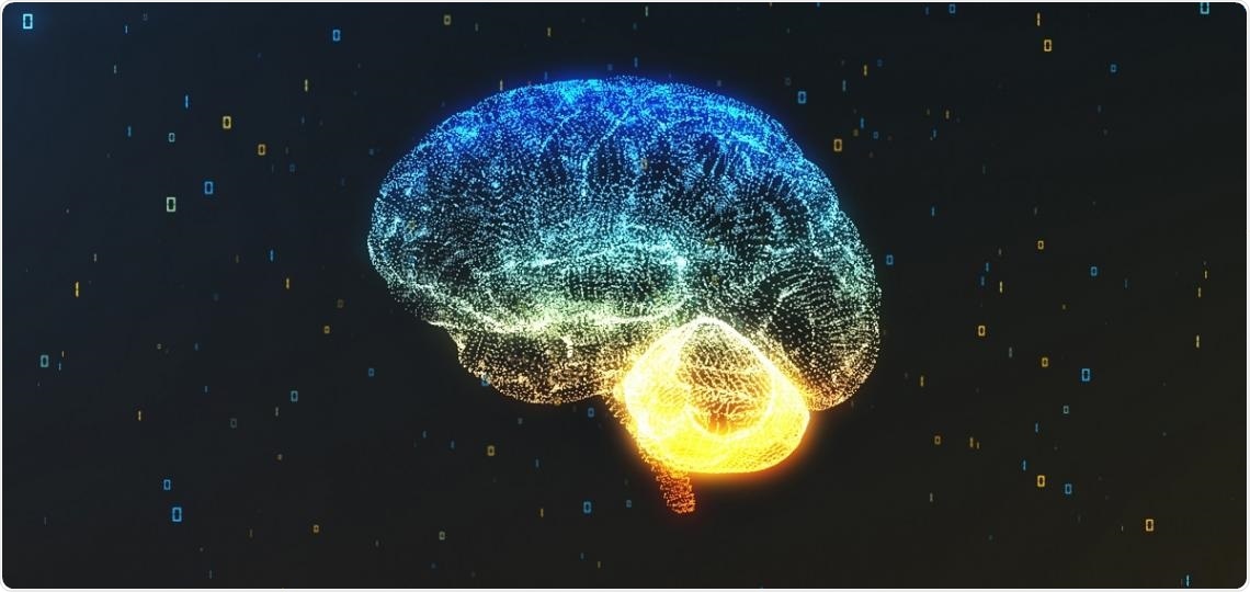Researchers identify new gene involved in neurodevelopmental disorders