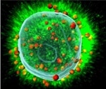 Study explains why immunotherapy works on certain patients with head and neck cancer