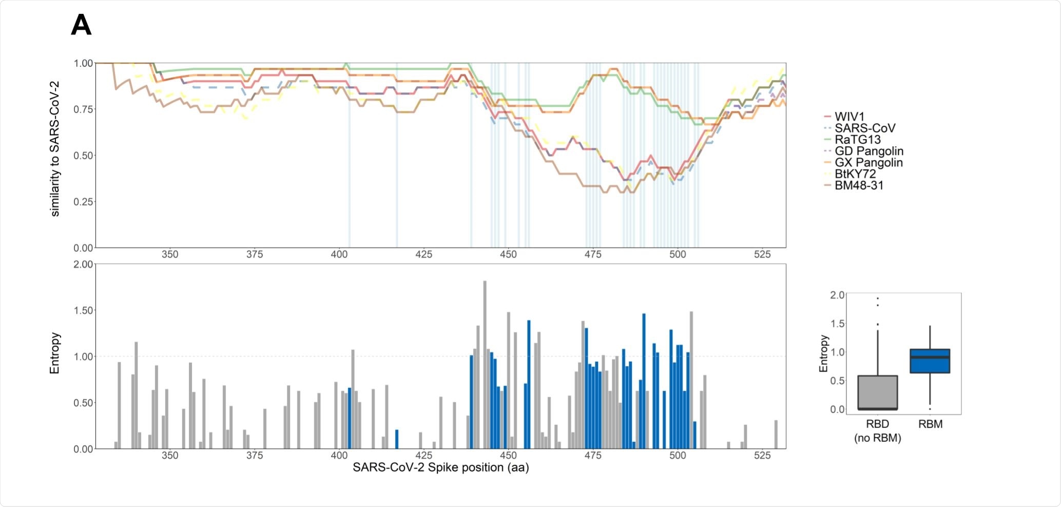 Pairwise similarity to SARS-CoV-2 (sliding window size of 30 amino acids) for seven related Sarbecoviruses across the RBD region of the Spike protein. Pairwise similarity to SARS-CoV-2 (sliding window size of 30 amino acids) for seven related Sarbecoviruses across the RBD region of the Spike protein.