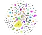 Researchers create “developmental atlas” to classify the neurons of fruit flies