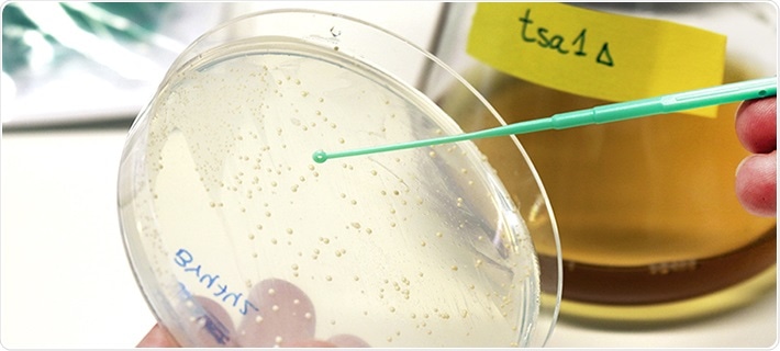 Low levels of hydrogen peroxide can slow down cell ageing