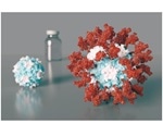 Researchers use new technology to design promising vaccine for COVID-19